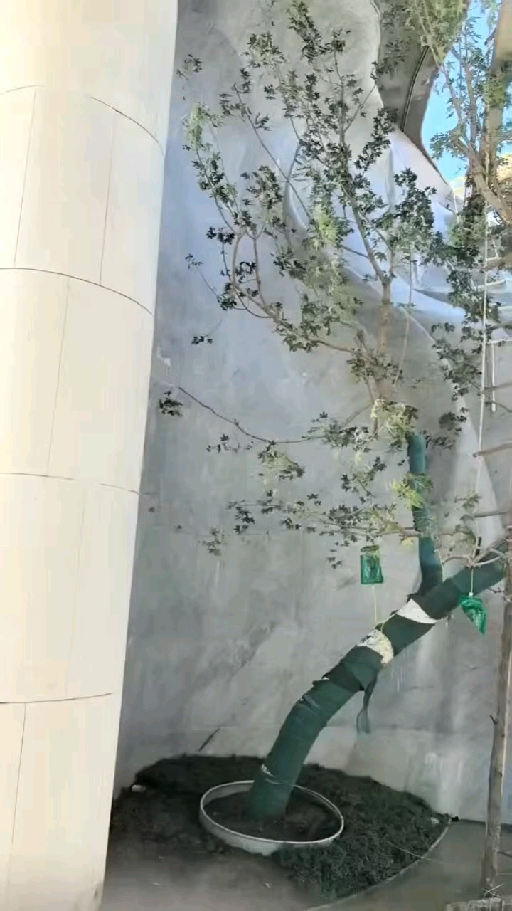 以下视频海蓝宝水景瀑布来自于振南石业当海蓝宝遇上石材艺术是瀑布也是心动