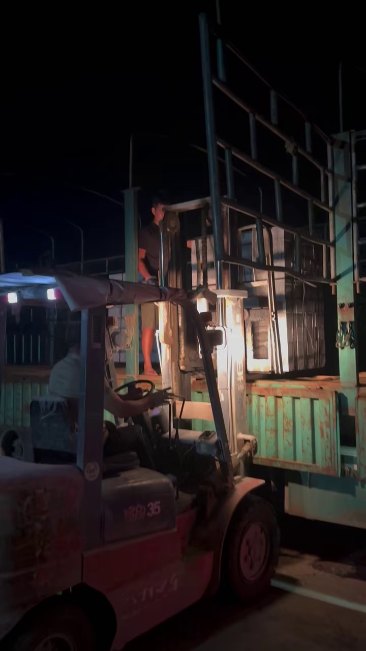 每天都在装车欢迎需要廉江芝麻灰芝麻黑浪花白的老板来电下单