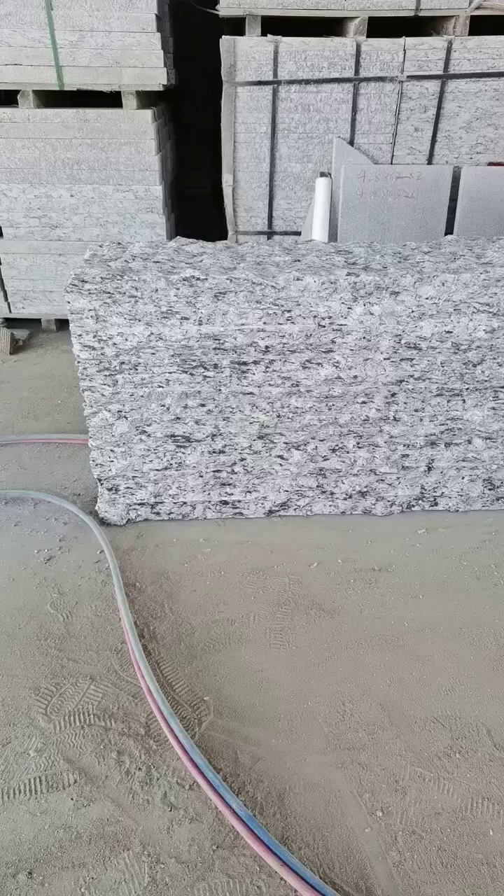 廉江芝麻灰廉江芝麻白廉江芝麻黑浪花白海浪花