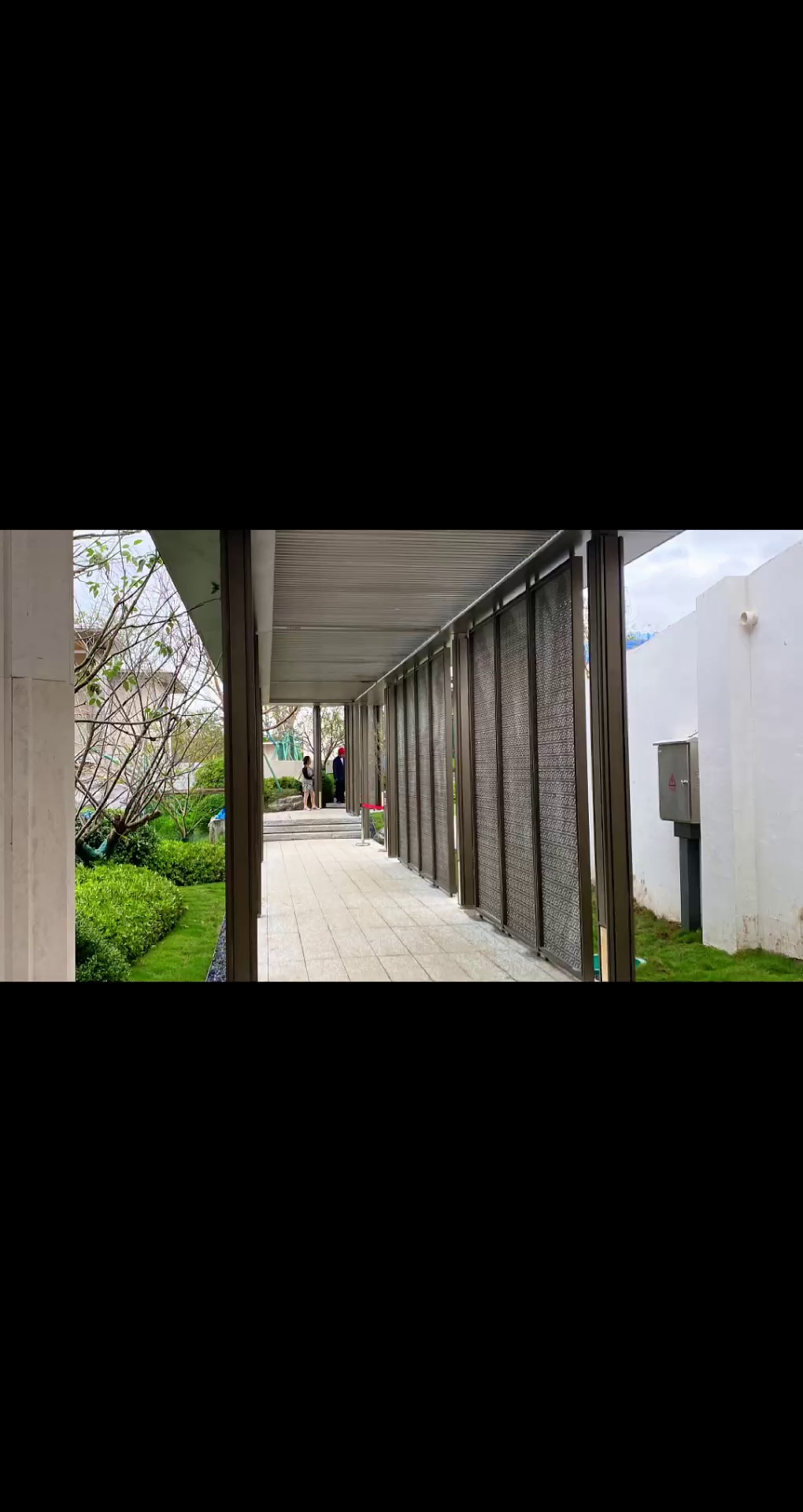 廉江芝麻灰廉江芝麻白廉江芝麻黑浪花白海浪花