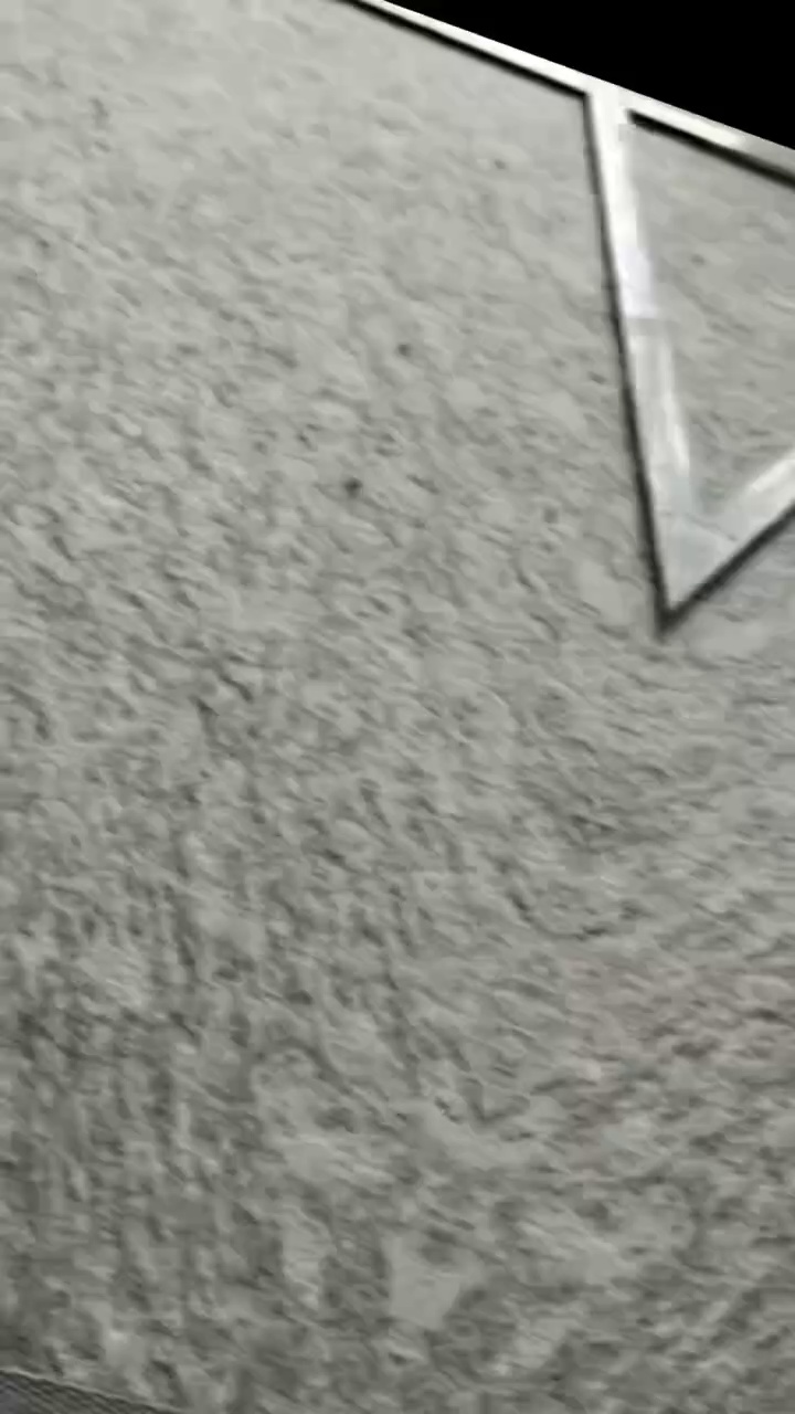 廉江芝麻灰廉江芝麻白廉江芝麻黑浪花白海浪花