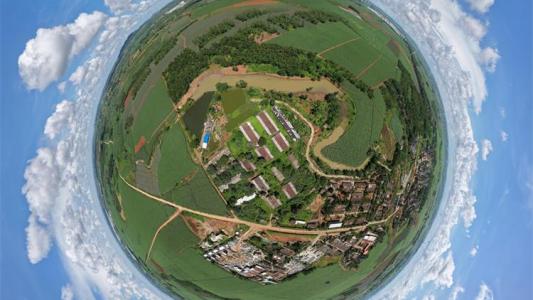 广东省雷州市湛江黑产区（农场十三队）