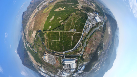 广西钟山牛庙产区二